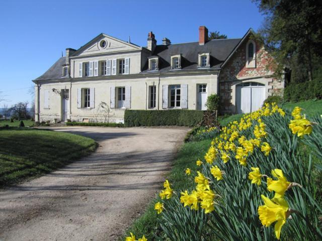 Chambres D'Hotes Le Chateau De La Plante Thure Exterior photo